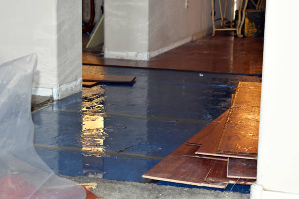 Professional Basement Water Removal technician working in Bloomington, IN